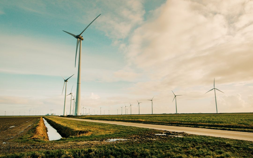 Electricity generated from renewable energy sources is now more affordable than ever before.